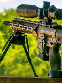 ขาทรายสปริง