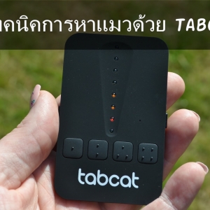 8 เทคนิคการค้นหาแมวด้วย Tabcat