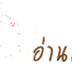 เงื่อนไขก่อนสั่งซื้อ