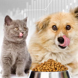 PET Foods อาหารสัตว์เลี้ยง