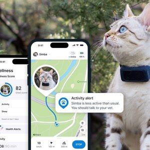 Tractive ช่วยให้เราเจออาการป่วยของสัตว์เลี้ยงของเราได้รวดเร็วขึ้น