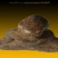 พระร่วงนั่งครองเมือง พิมพ์เล็ก เนื้อชินเงิน 3.8x2.8 cm ศรีสัชนาลัย สุโขทัย (2)