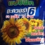 ทานตะวัน ดอกใหญ่ (50 เมล็ด)