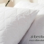 ปลอกหมอนกันเปื้อน Pillow Protector