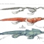 Science of Creature Design: understanding animal anatomy