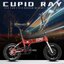 จักรยานพับได้ CUPID รุ่น RAY ล้อ16นิ้ว ดิสเบรค