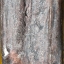 พระร่วงหลังรางปืน พิมพ์ใหญ่ฐานเตี้ย เนื้อสำริด 6.9x2.2 cm กรุวัดพระศรีรัตนมหาธาตุราชวรวิหาร ศรีสัชนาลัย สุโขทัย อายุนับพันปี หายากยิ่งยวด มหัศจรรย์ที่สุดของที่สุดในสยามประเทศ