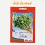 ผักชี ฉัตรทิพย์ (300 เมล็ด)