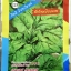 ผักโขม ป๊อปอาย italian spinach ประมาณ 200-300 เมล็ด