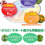 DHC V-MAX Haste berry ดีเอชซี วี แม๊กซ์ เฮซท เบอรี่ วิตามินสายตาที่ดีที่สุด ของ DHC ชนิด30วัน