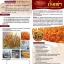 ถั่งเช่า 100% ขนาด 500มิลลิกรัม ถุงละ 1,000 แคปซูล. ซื้อ 1 แถม 1 (รวม2,000 แคปซูล)
