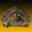 พระพุทธชินราช เนื้อชินเงิน 8x5 cm (1)